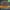 Archive SpeedQuiz