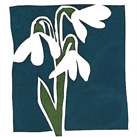 Stencil Screenprinting Workshop